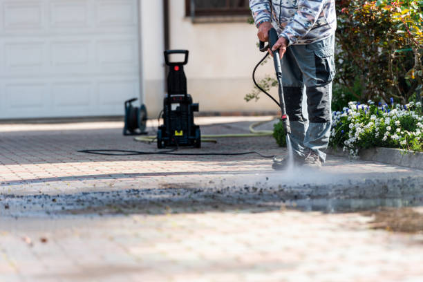 Best Pressure Washing Company Near Me  in Amelia, LA