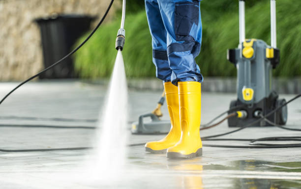 Best Roof Pressure Washing  in Amelia, LA